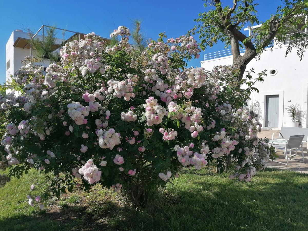 B&B Don Giovanni Monopoli Εξωτερικό φωτογραφία