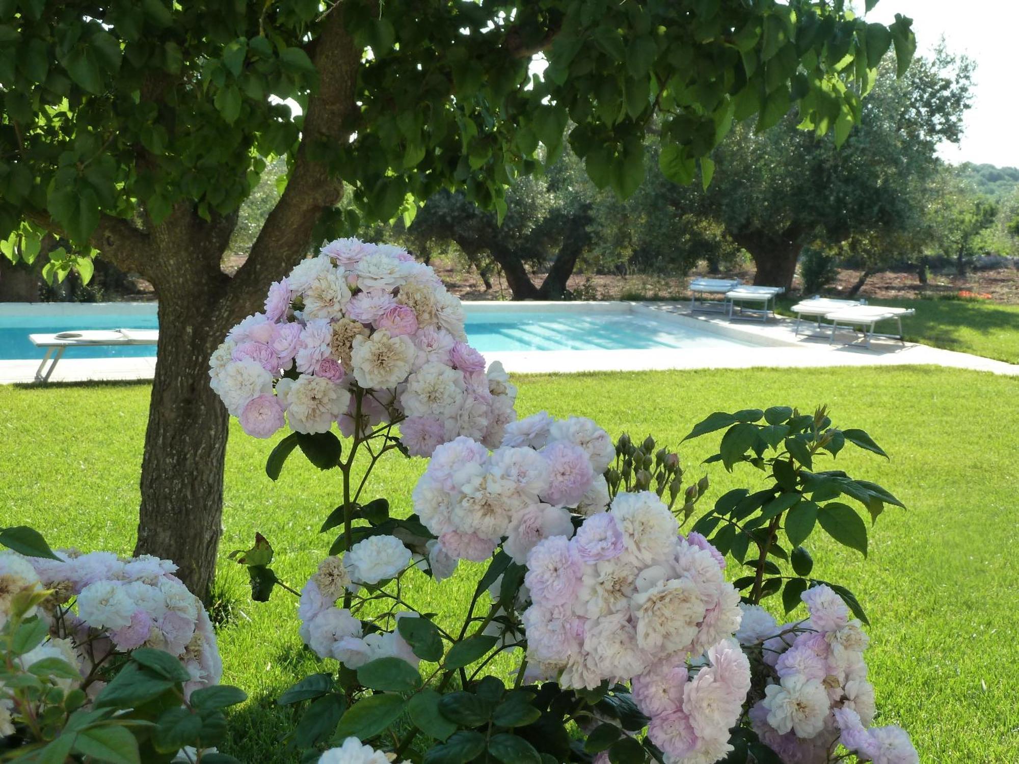 B&B Don Giovanni Monopoli Εξωτερικό φωτογραφία