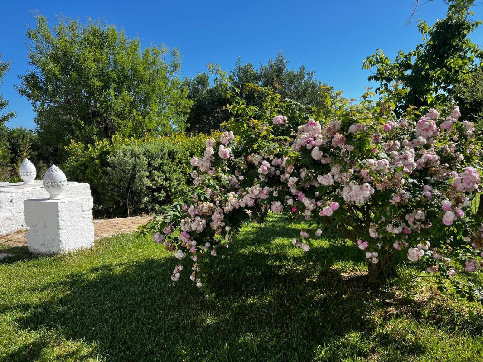 B&B Don Giovanni Monopoli Εξωτερικό φωτογραφία