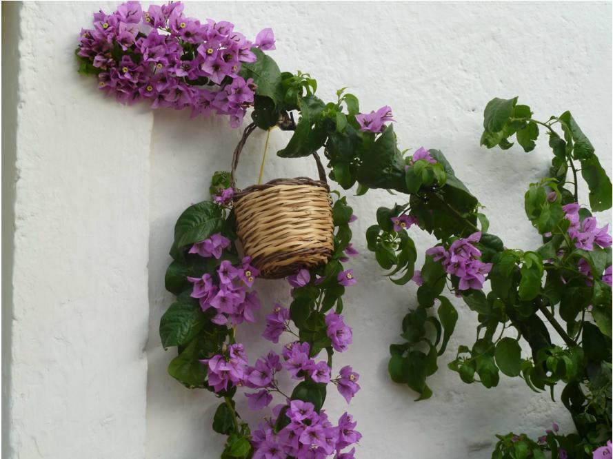 B&B Don Giovanni Monopoli Εξωτερικό φωτογραφία